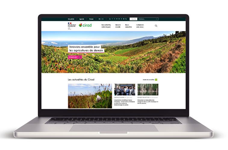 site Cirad Codéin